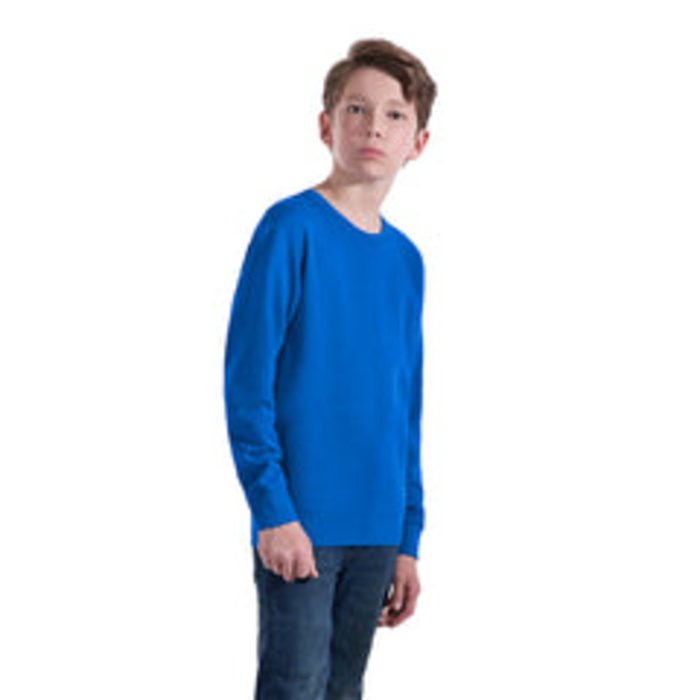 CF - Adult-Youth Crewneck Pullover Sweatshirt Thumbnail