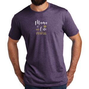 Unisex Tri Blend Tee Thumbnail